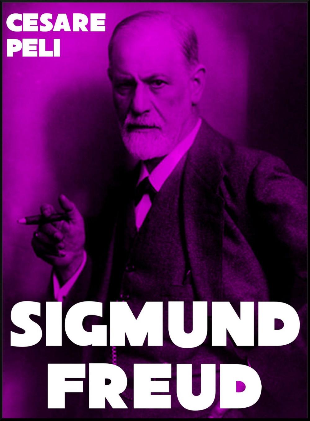 Big bigCover of Sigmund Freud