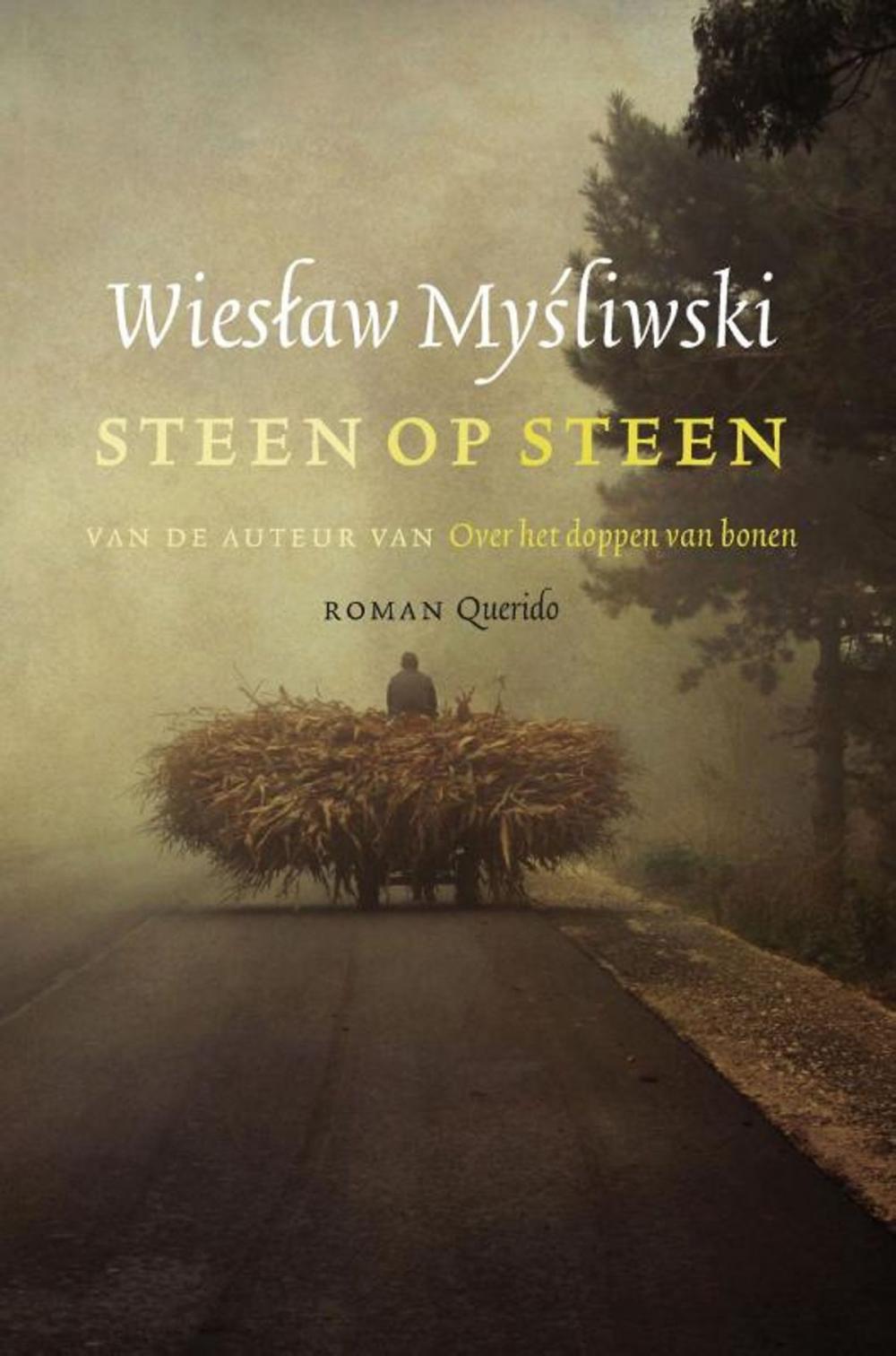 Big bigCover of Steen op steen