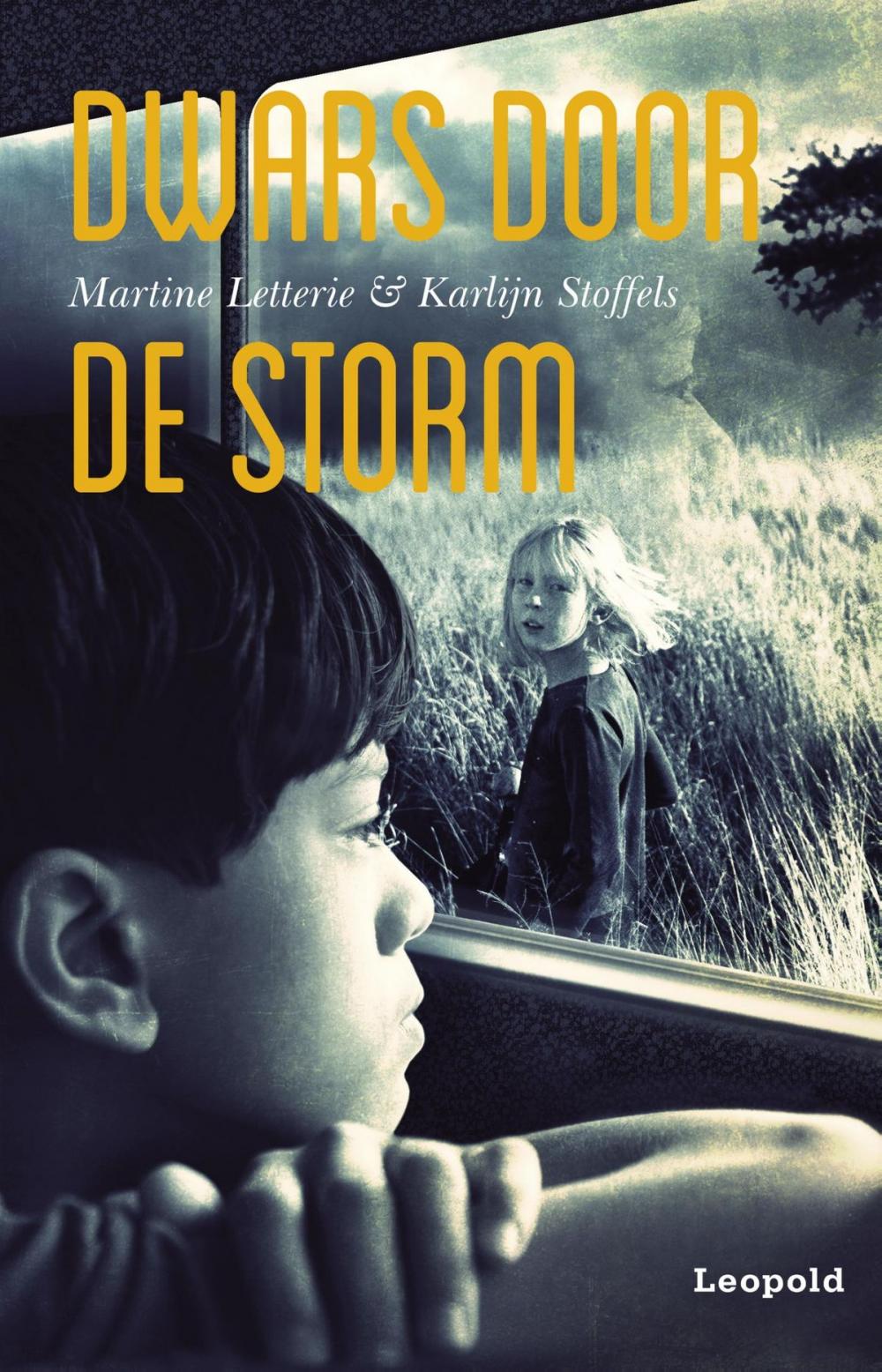 Big bigCover of Dwars door de storm