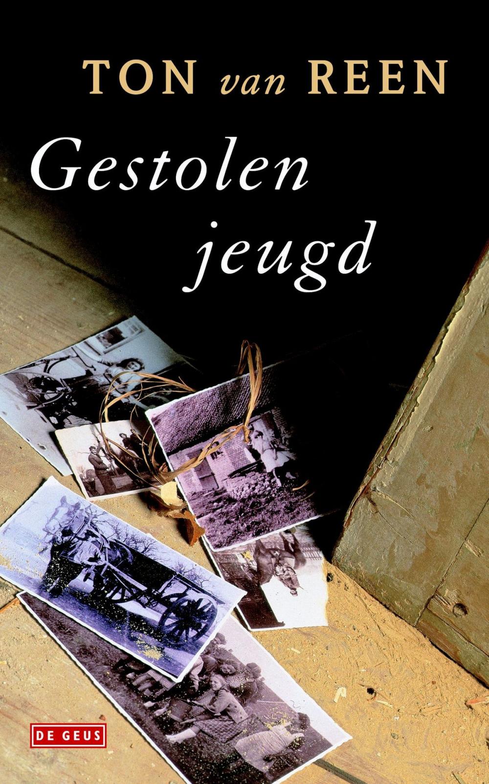 Big bigCover of Gestolen jeugd