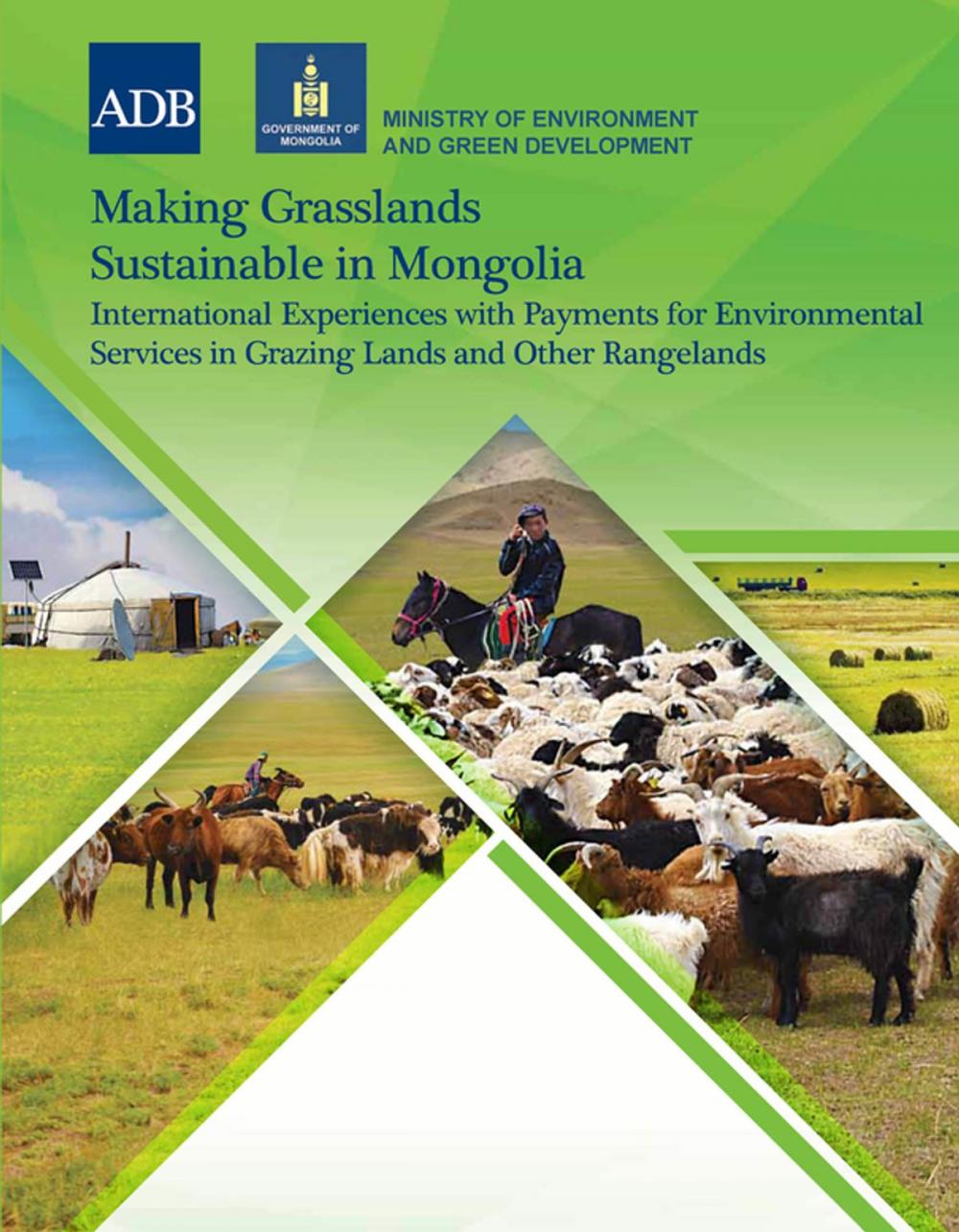 Big bigCover of Making Grasslands Sustainable in Mongolia