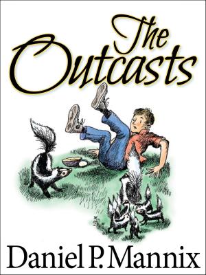 Cover of the book The Outcasts by Niven Busch