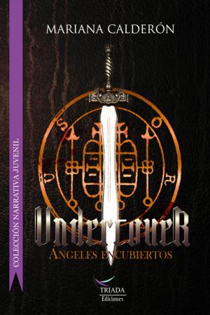 Cover of the book Undercover by Michelle Howard