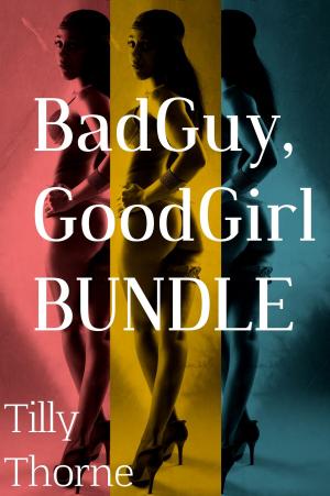 Cover of the book BadGuy, GoodGirl Bundle by Cynthia Clement