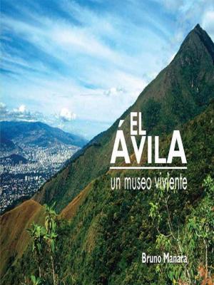 Book cover of El Avila