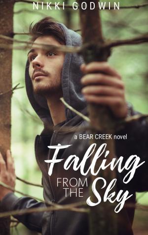 Cover of the book Falling From The Sky by Kay Perrin