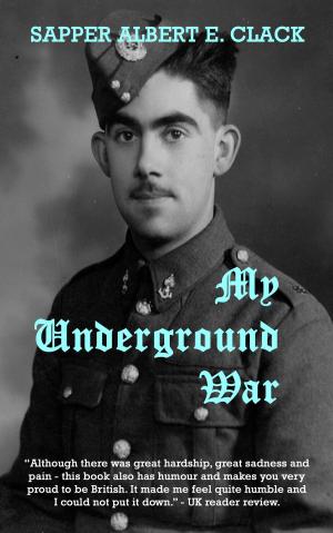 bigCover of the book My Underground War by 