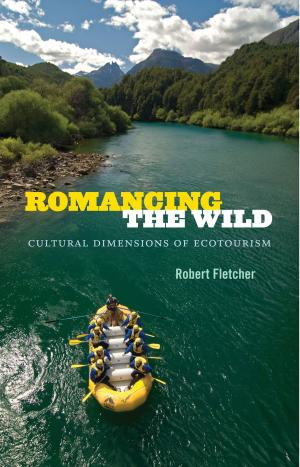 Cover of the book Romancing the Wild by Antony Tatlow, Stanley Fish, Fredric Jameson