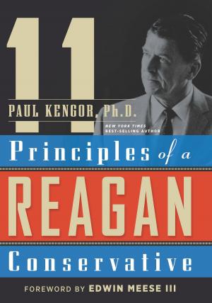 Cover of the book 11 Principles of a Reagan Conservative by Jennifer Pharr Davis, Brew Davis