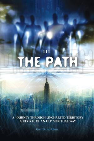 Cover of the book 111 The Path by Taiwo Odukoya