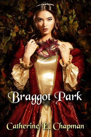 Cover of the book Braggot Park by Michelle Helliwell