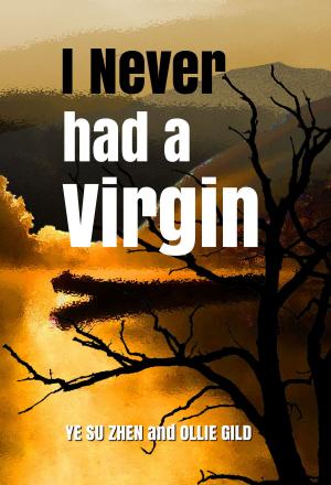 Cover of I Never Had a Virgin
