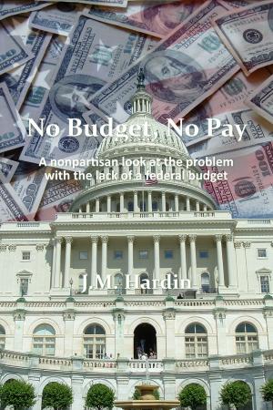 Cover of the book No Budget, No Pay by Michael von Prollius, Konrad Badenheuer, Albrecht Jebens, Peter Seidel, Björn Schumacher, Rainer Waßner