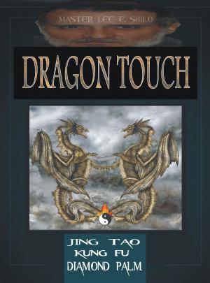 bigCover of the book Dragon Touch by 