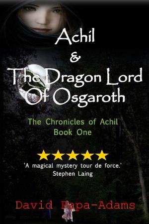 Cover of the book Achil & The Dragon Lord Of Osgaroth by Sean McGuire