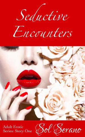 Cover of Seductive Encounters (Forbidden Romance, Infidelity, Graphic Sex Play)