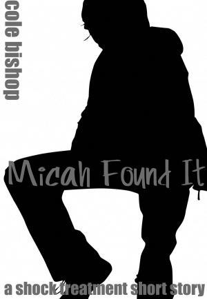 Book cover of Micah Found It