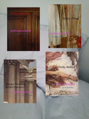 bigCover of the book Explorations: Books 25-28 by 