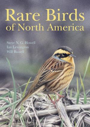 Cover of the book Rare Birds of North America by Matthew M. Briones