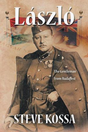 Cover of the book László by Jillyan Baldwin