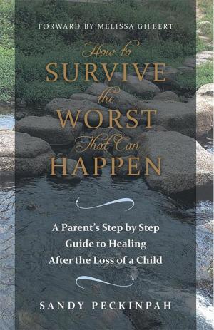 Cover of the book How to Survive the Worst That Can Happen by Janie Lidey