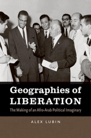 Cover of the book Geographies of Liberation by Ivory B.