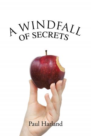 Book cover of A Windfall of Secrets
