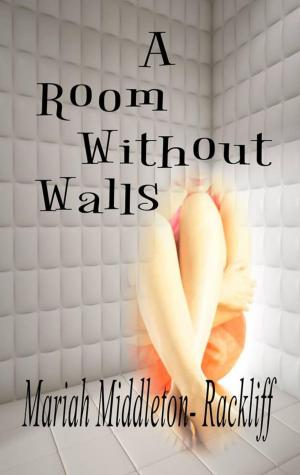 Cover of the book A Room Without Walls by Dr Marcel Verheyen
