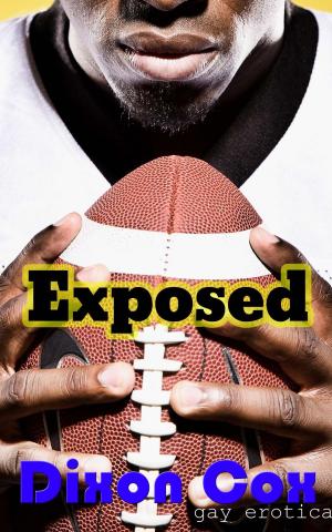 Cover of the book Exposed by Annalise Carter