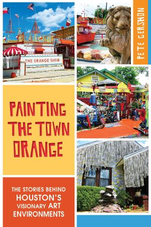 Cover of the book Painting the Town Orange by Stephen C. Morehouse, Beaverhead County Museum