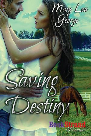 Cover of the book Saving Destiny by Chandler Adams