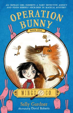 Cover of the book Operation Bunny by Silvia F. M. Pedri