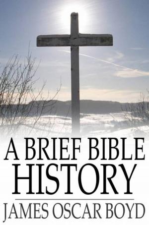 Cover of the book A Brief Bible History by Saki