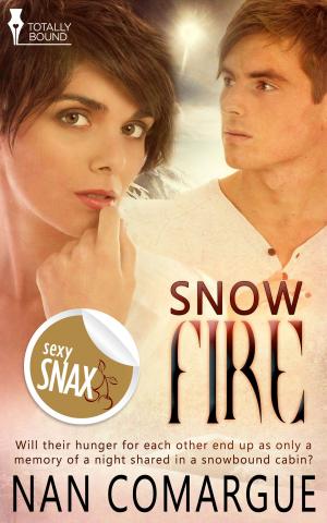 Cover of the book Snow Fire by N.R. Walker