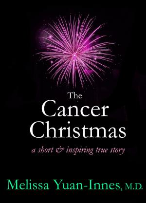 Book cover of The Cancer Christmas