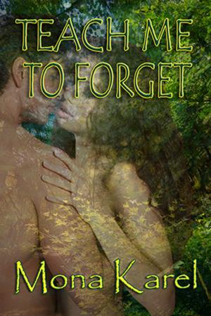 Cover of the book Teach Me to Forget by Zrinka Jelic