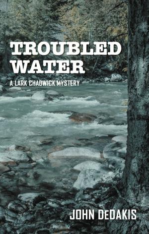 Cover of the book Troubled Water by Thomas Dooley, Christian Titz