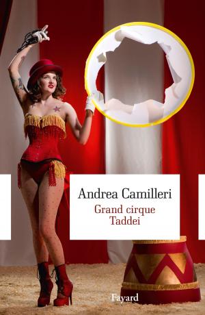 Cover of the book Grand cirque Taddei by Bernard Stiegler