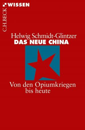 Book cover of Das neue China
