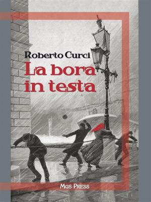 Cover of the book La bora in testa by Silvano Agosti