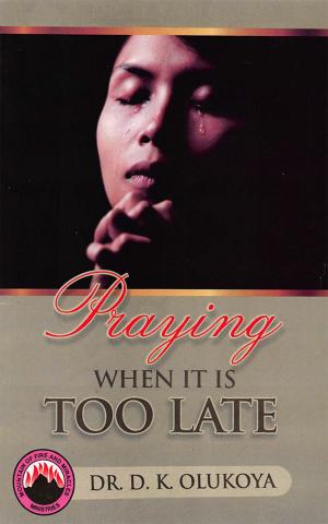 Cover of the book Praying When It Is Too Late by Romain Kito