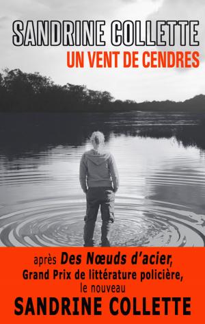 Cover of the book Un vent de cendres by Neeraj Ashok