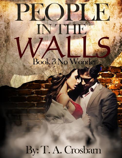 Cover of the book People in the Walls (Book 3 No Wonder) by T.A. Crosbarn, Crosbarn Books