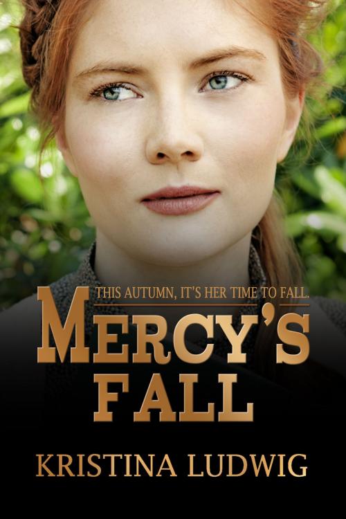 Cover of the book Mercy's Fall by Kristina Ludwig, Kristina Ludwig