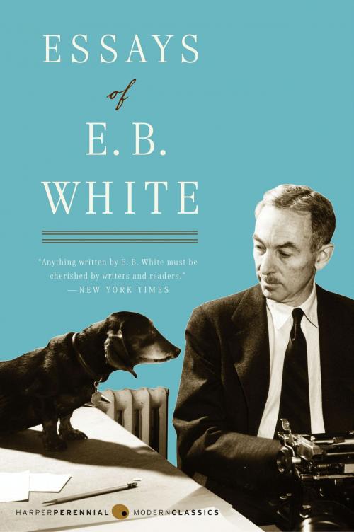 Cover of the book Essays of E. B. White by E. B White, Harper Perennial