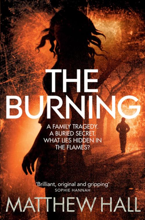 Cover of the book The Burning by Matthew Hall, Pan Macmillan