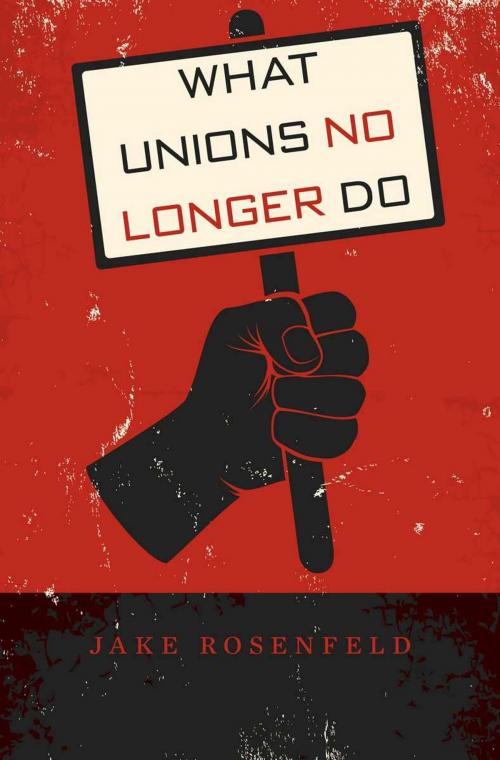 Cover of the book What Unions No Longer Do by Jake Rosenfeld, Harvard University Press