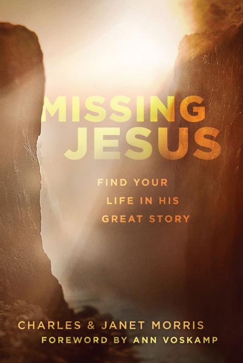 Cover of the book Missing Jesus by Charles Morris, Janet Morris, Moody Publishers