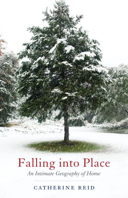 Cover of the book Falling into Place by Catherine Reid, Beacon Press