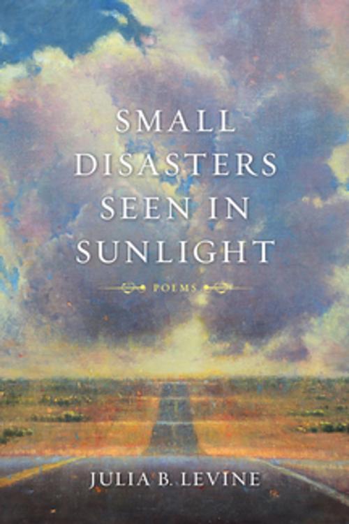 Cover of the book Small Disasters Seen in Sunlight by Julia B. Levine, LSU Press